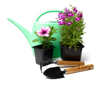 insumos de jardinería